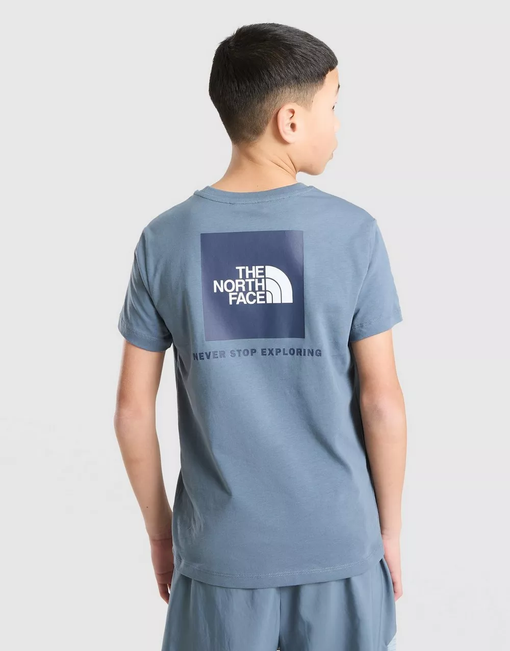 THE NORTH FACE ФУТБОЛКА TEEN   BOX NSE REGULAR SS TEE, фото 1 з 5
