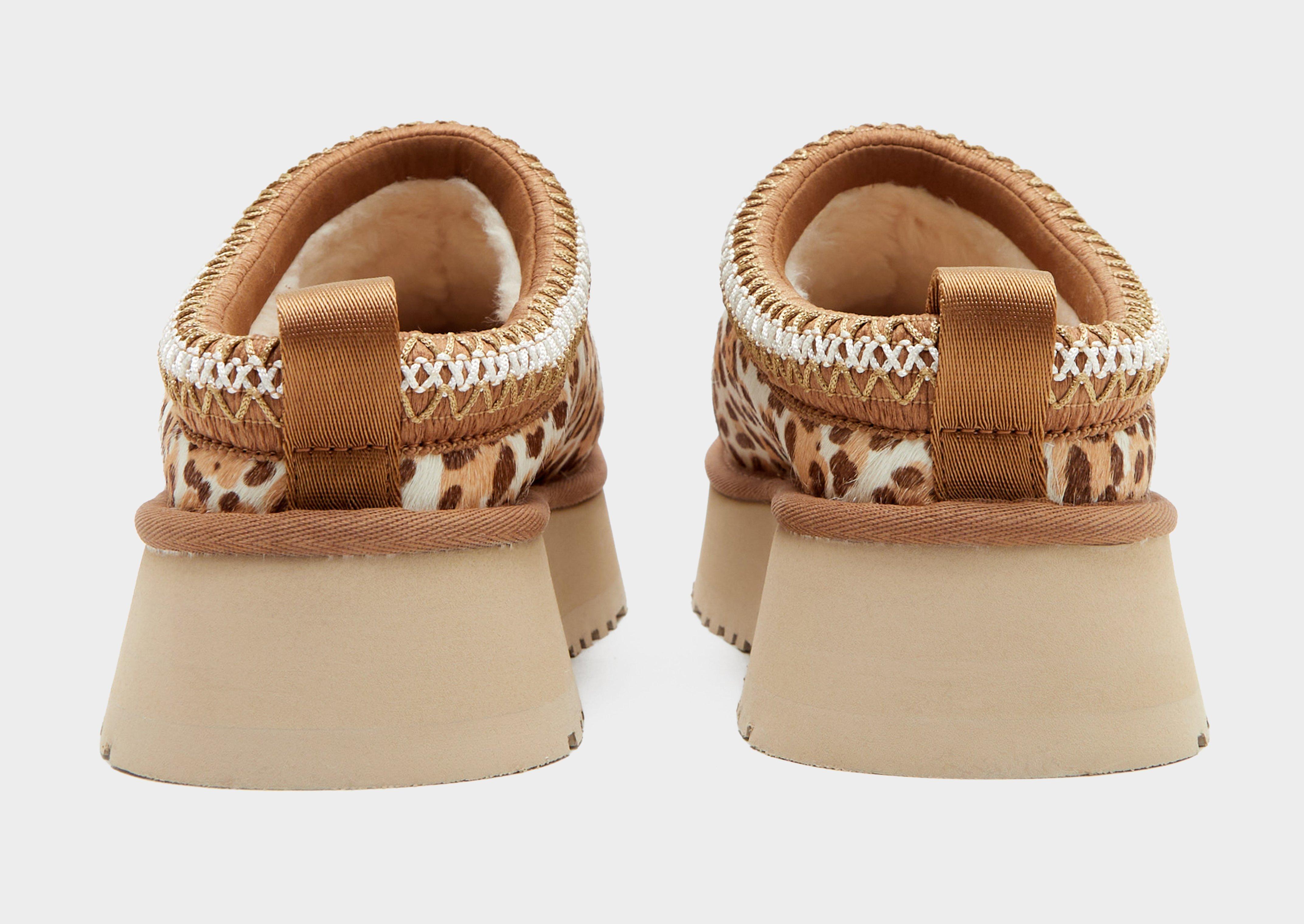 Damskie UGG TAZZ PLAINS 1177890-FDJ Brązowy
