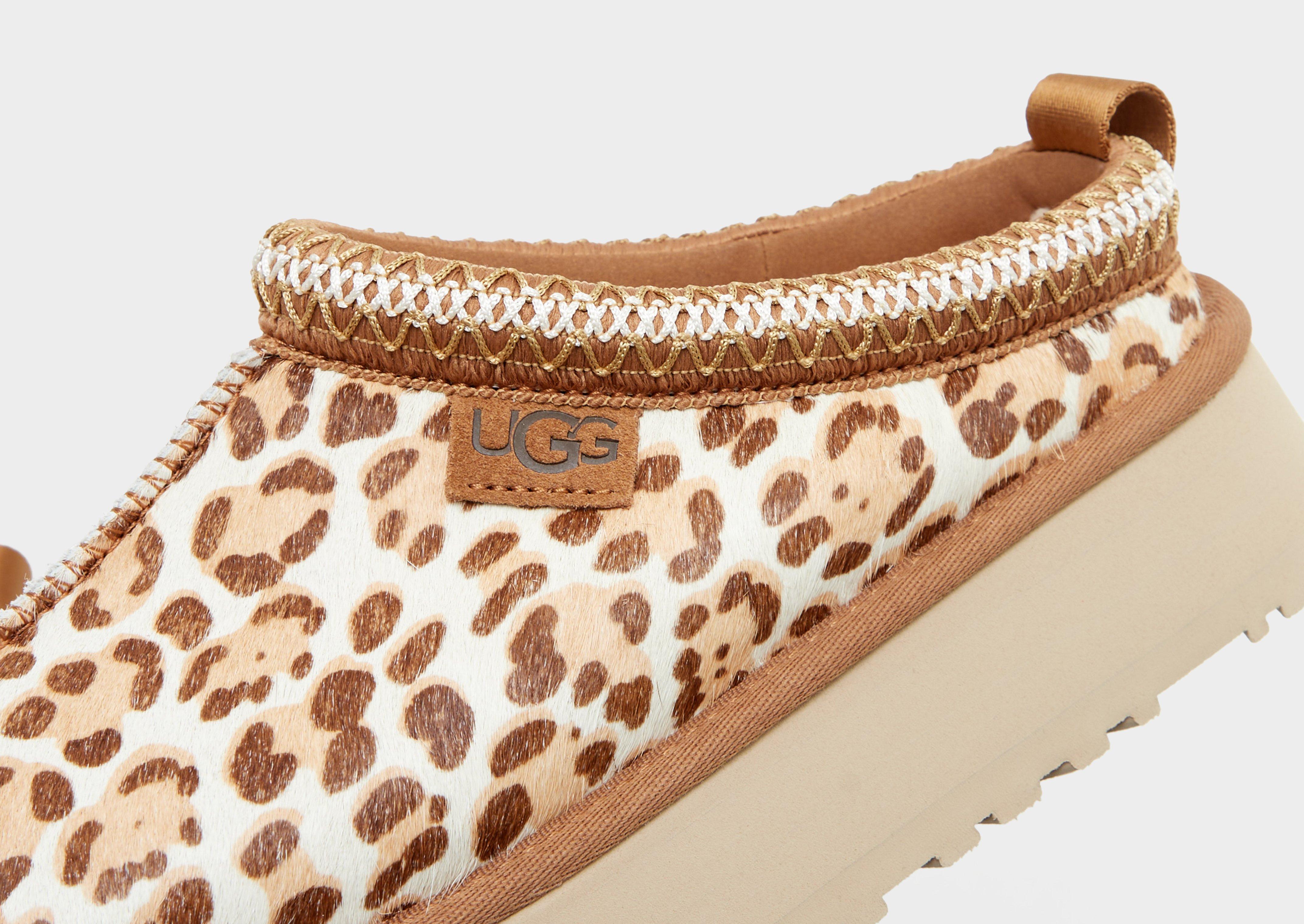 Damskie UGG TAZZ PLAINS 1177890-FDJ Brązowy