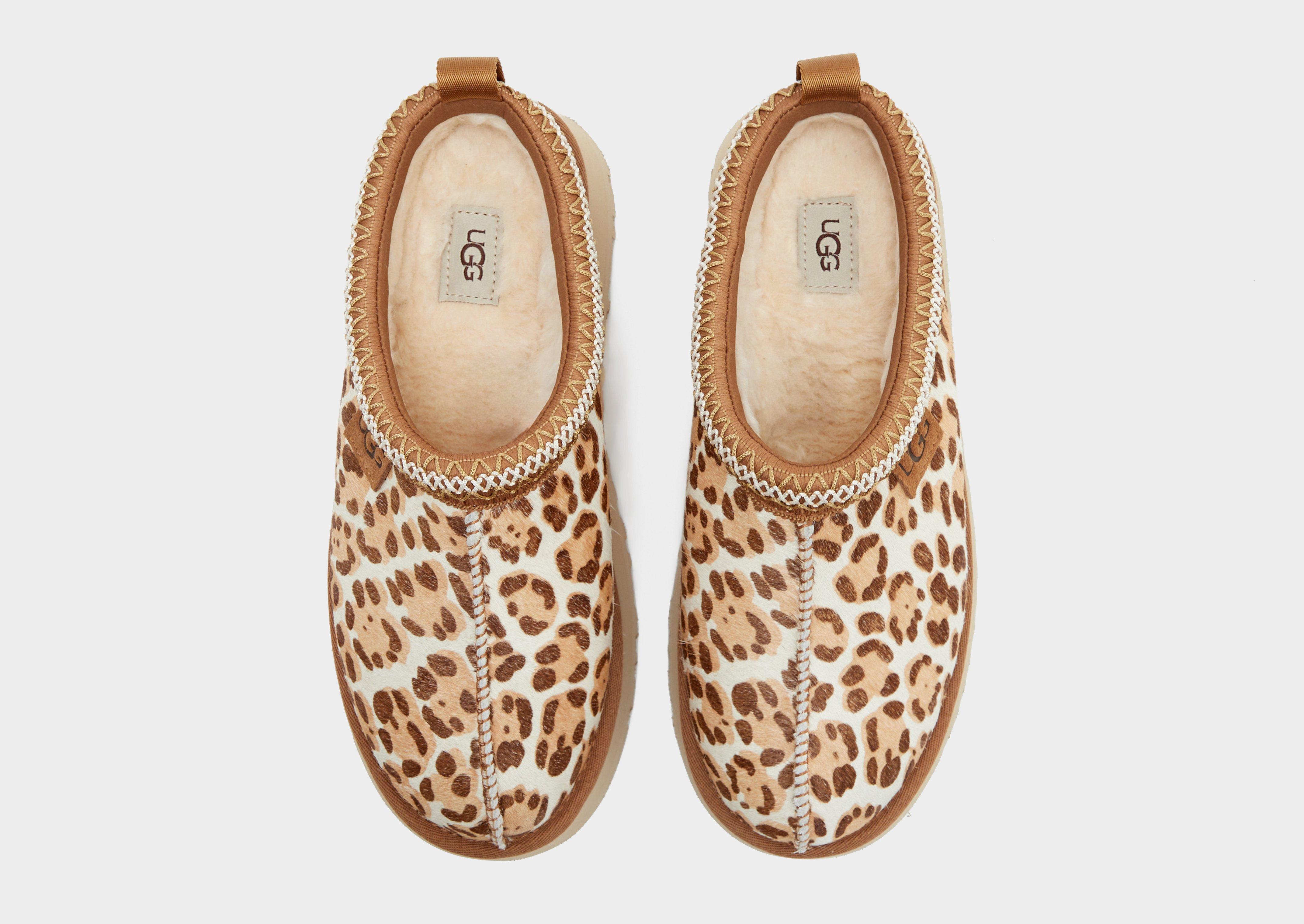 Damskie UGG TAZZ PLAINS 1177890-FDJ Brązowy