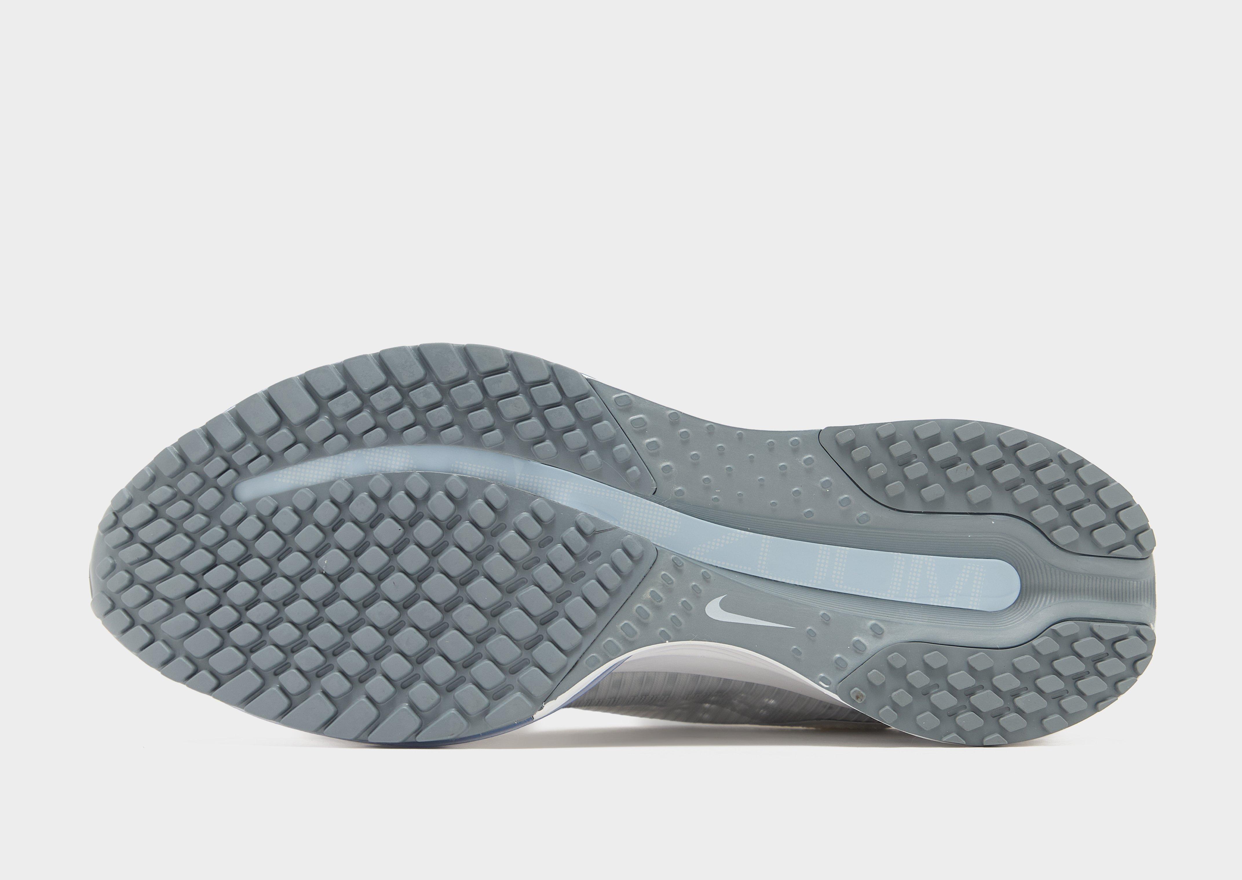 Nike Pegasus Premium