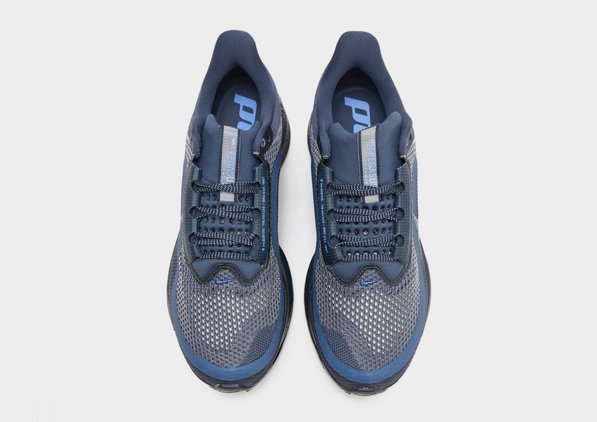 Nike Pegasus Premium