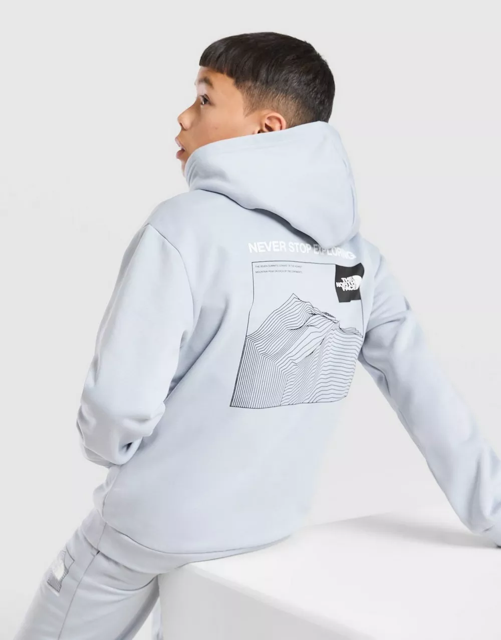 THE NORTH FACE КОФТА З КАПЮШОНОМ MOUNTAINS, фото 1 з 6