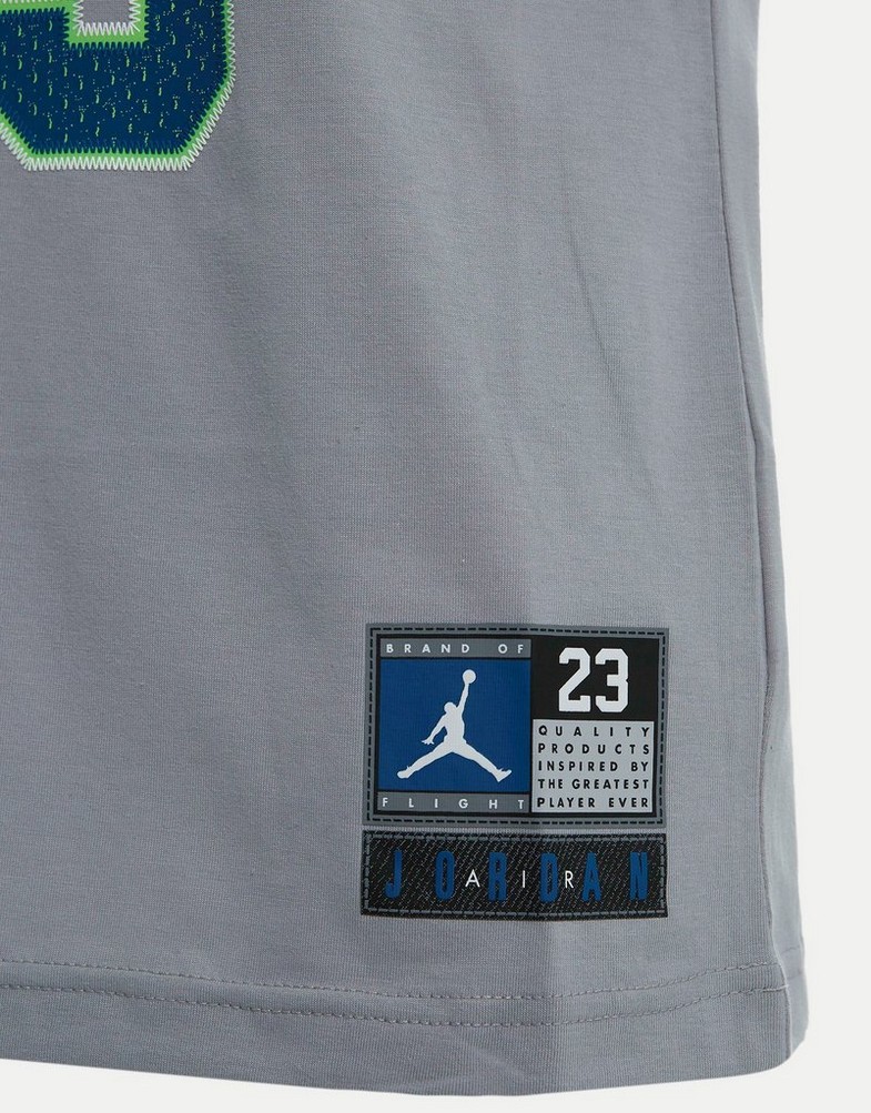 Koszulka, t-shirt dziecięcy JORDAN T-SHIRT JORDAN SPORT DNA 95A088-G6U Szary
