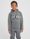 JORDAN PULÓVER KAPUCNIS JUMPMAN SUST PO HOODIE