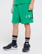 JORDAN PANTALONI SCURȚI JUMPMAN SUSTAINABLE SHORT