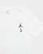JORDAN TRICOU JDB MJ MVP WM SS TEE