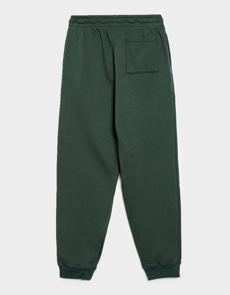 Pantaloni pentru copii JORDAN PANTALONI  MJ BRKLN FLC PANT BOY 95F113-E8J Verde