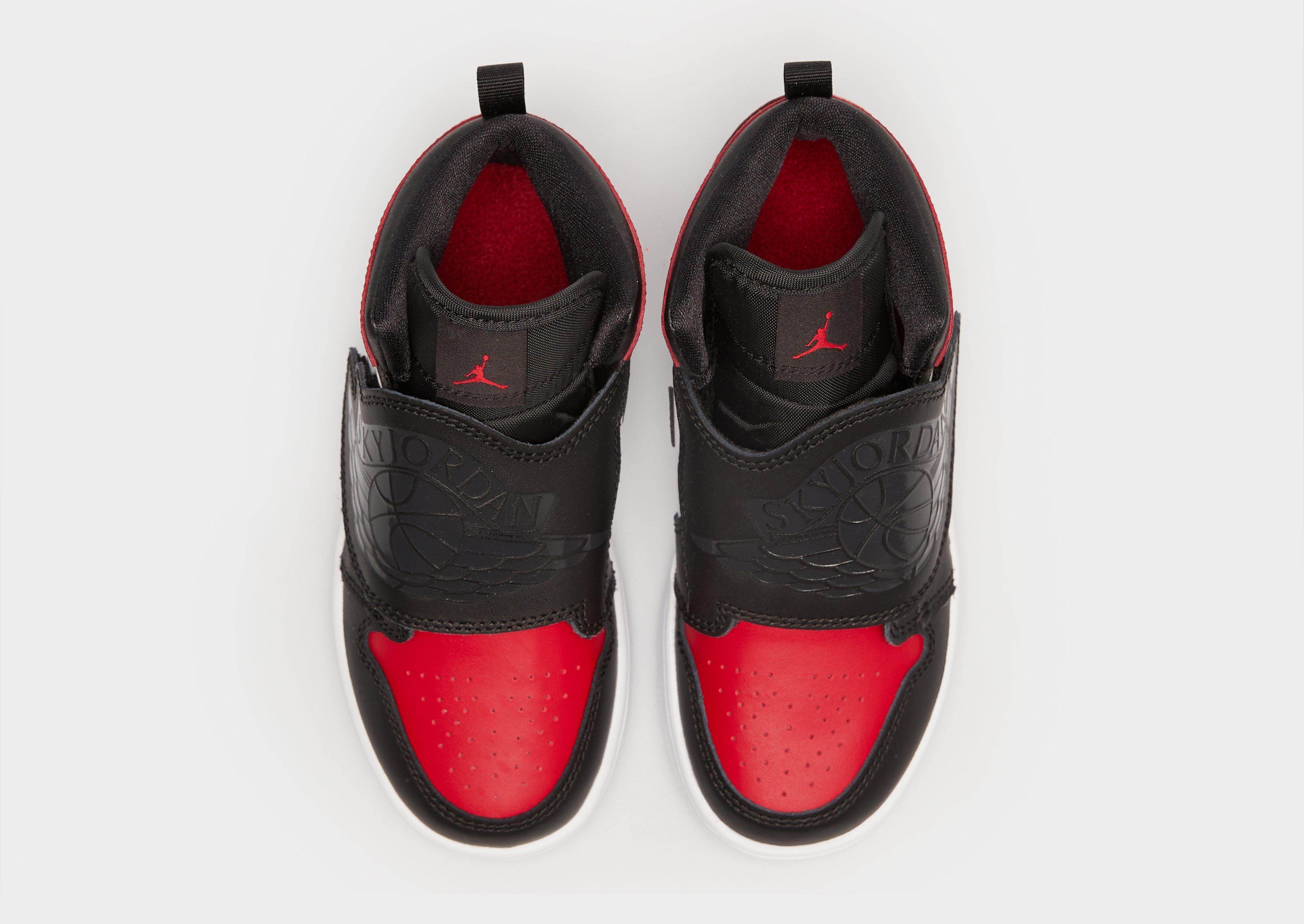 Sky Jordan 1