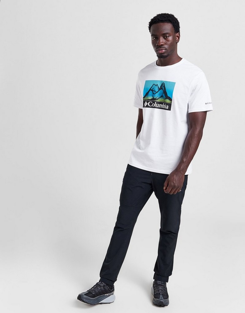 Чоловічі футболки COLUMBIA ФУТБОЛКА SHALDON TEE WHT CMATM10128010 Білий