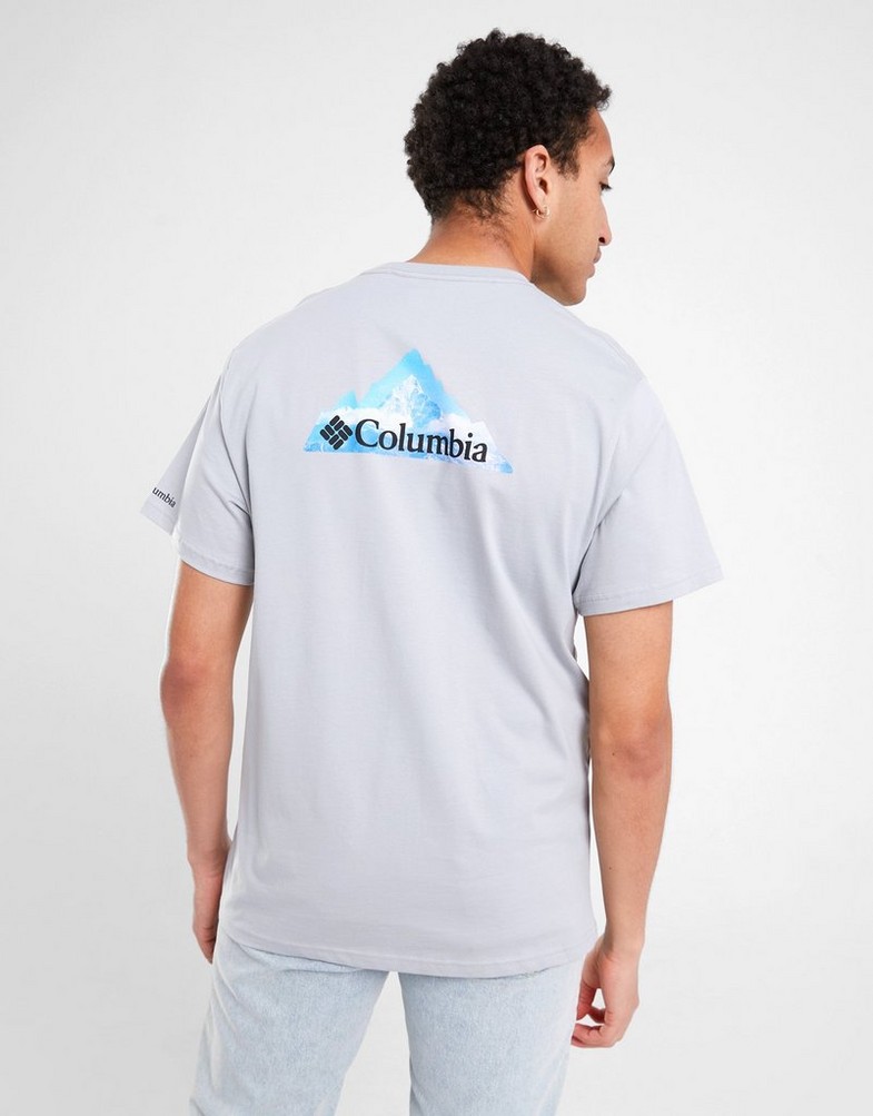 Чоловічі футболки COLUMBIA ФУТБОЛКА VALE TEE QRY CMATM10131058 Сірий