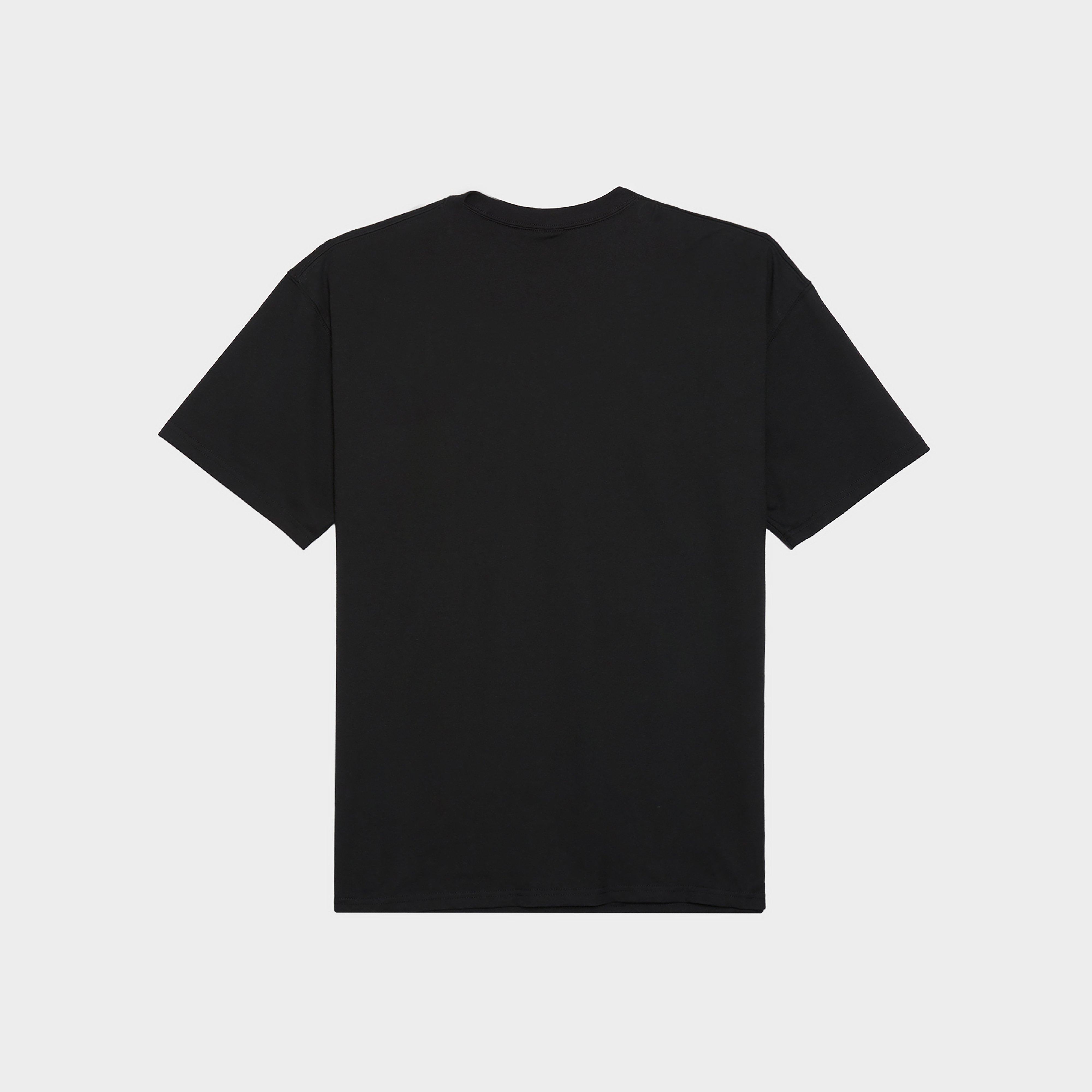 Koszulka, t-shirt męski NIKE T-SHIRT M NRG ACG SS LBR TEE 1