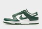 NIKE DUNK LOW RETRO