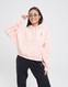 JORDAN BLUZA Z KAPTUREM W J ESSEN FLEECE HOODIE