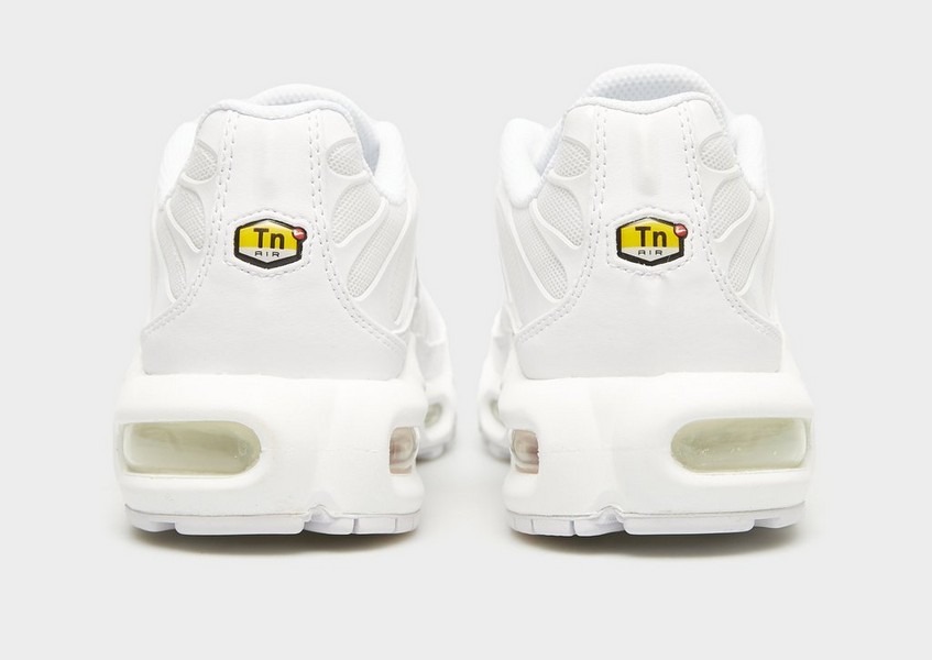 Nike Air Max Plus