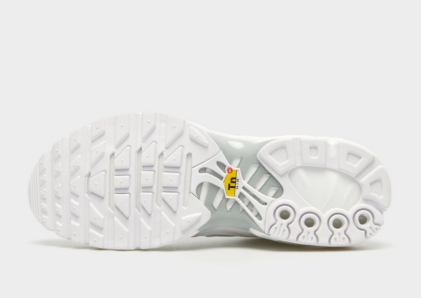 Nike Air Max Plus