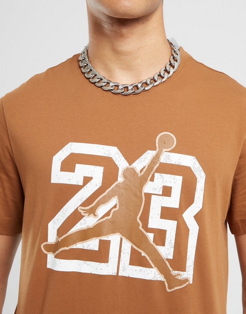 Koszulka, t-shirt męski JORDAN T-SHIRT M J FLT ESS JM SS CREW FB7394-281 Multicolor