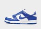 NIKE DUNK LOW BG