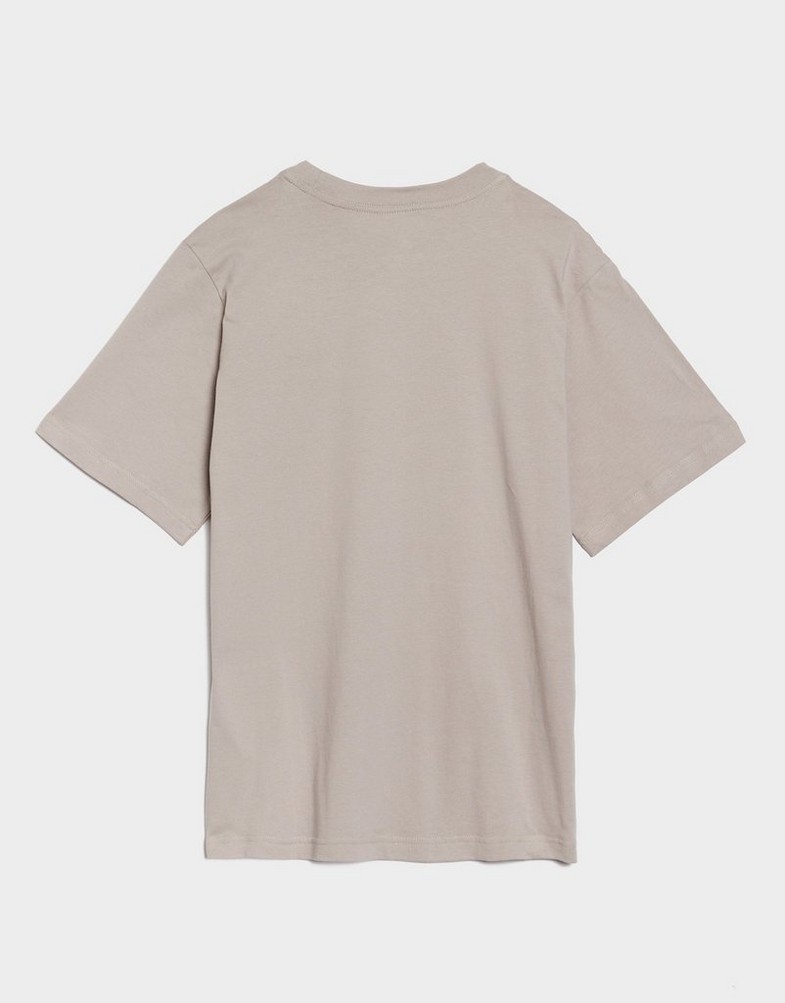 Dámske tričko NIKE TRIČKO W NSW TEE ESSNTL LBR FD4149-009 Sivá