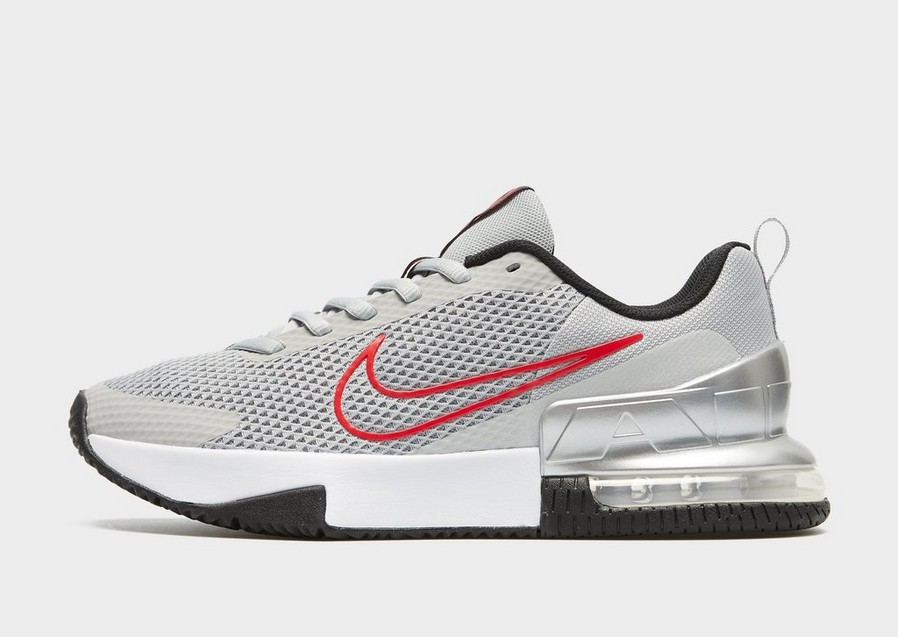 Buty treningowe męskie NIKE AIR MAX ALPHA TRAINER 6 FQ1833-011 Srebrny
