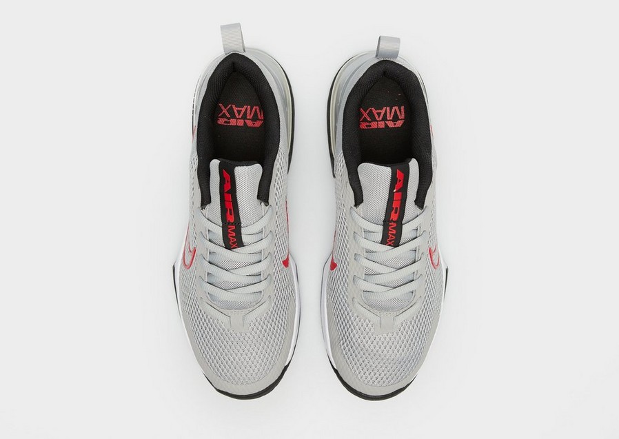 Buty treningowe męskie NIKE AIR MAX ALPHA TRAINER 6 FQ1833-011 Srebrny