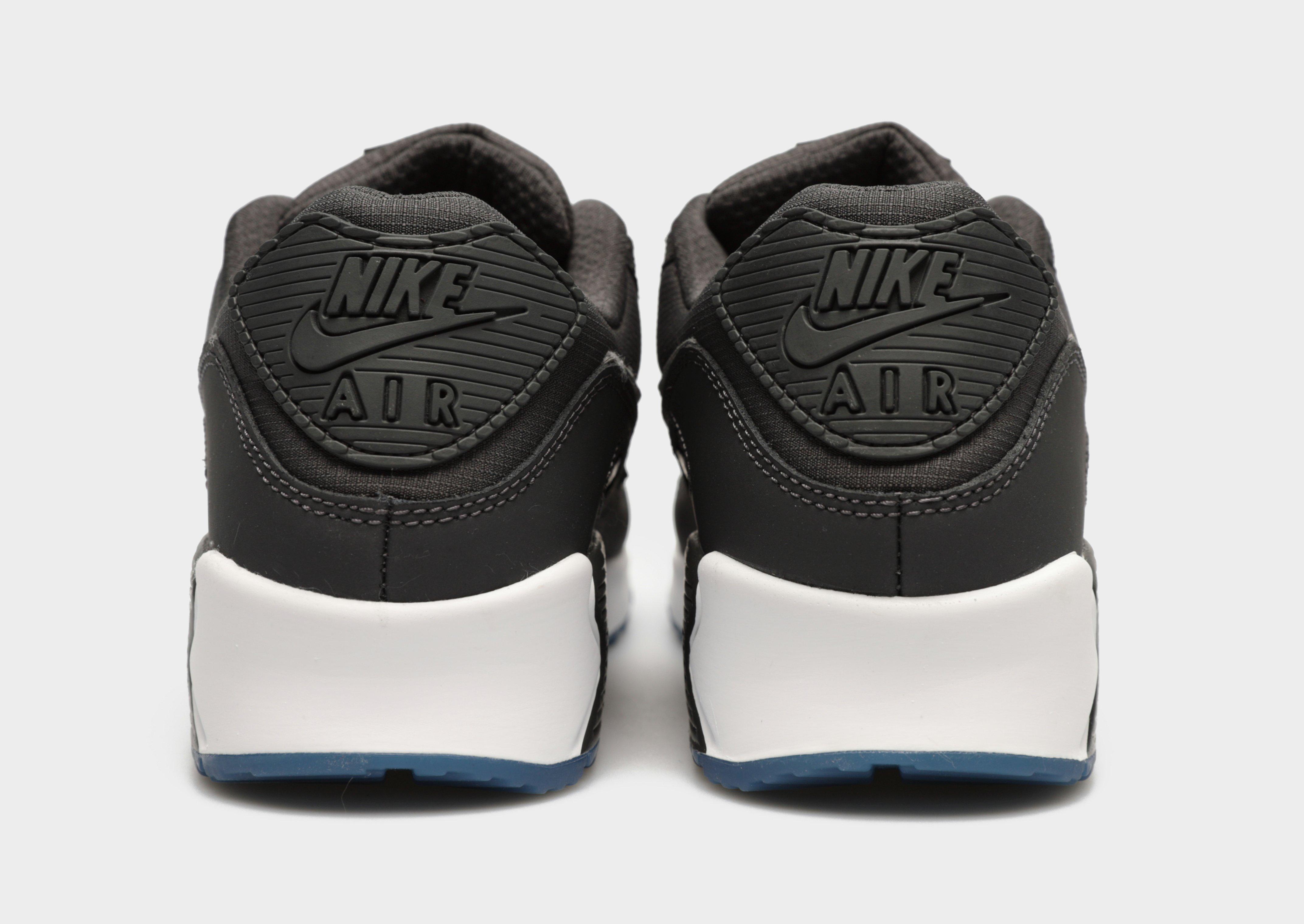 Чоловічі кросівки NIKE AIR MAX 90  FV0381-001 Сірий