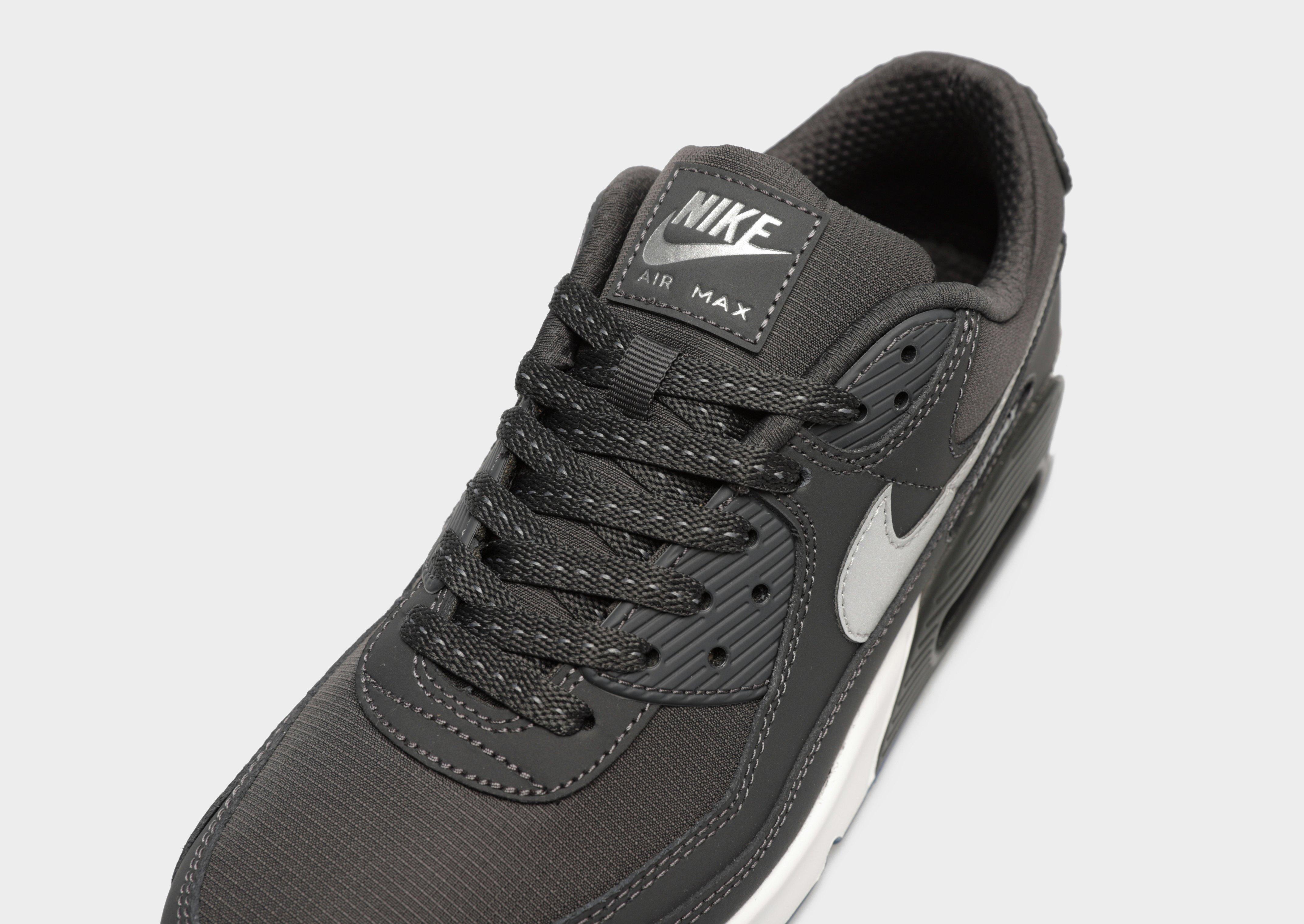 Чоловічі кросівки NIKE AIR MAX 90  FV0381-001 Сірий