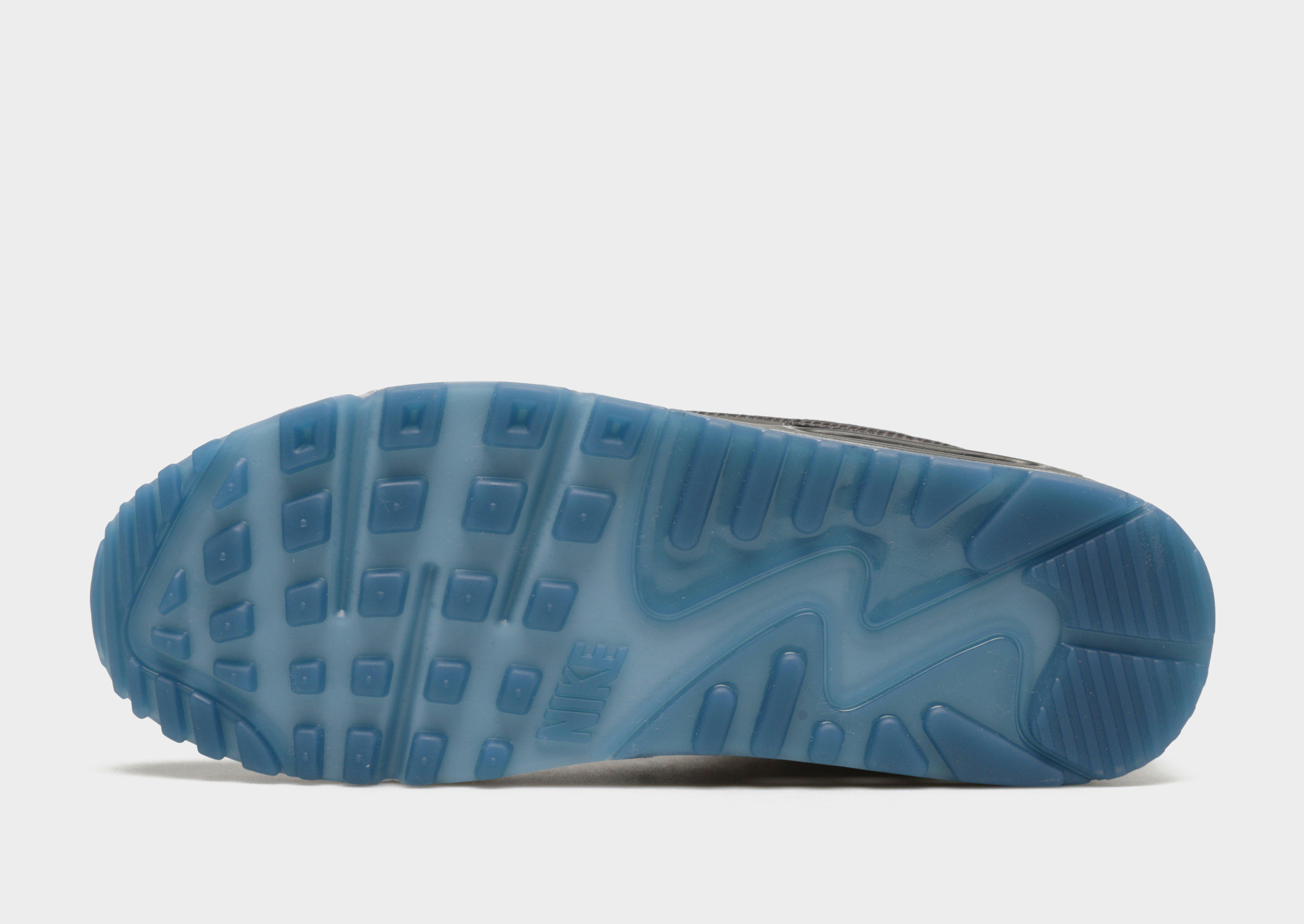 Чоловічі кросівки NIKE AIR MAX 90  FV0381-001 Сірий