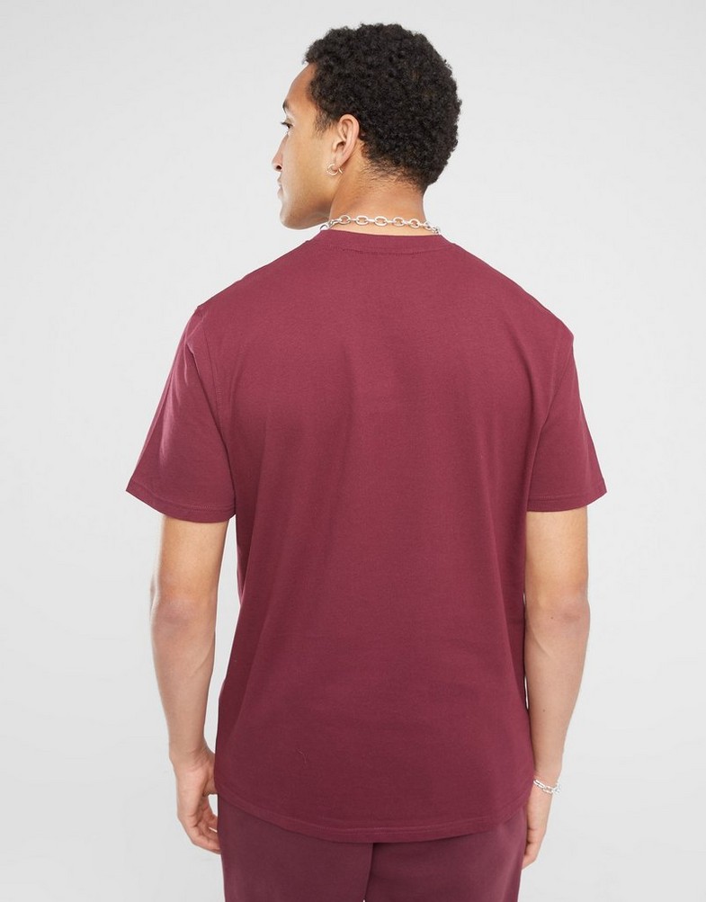 Koszulka, t-shirt męski FILA T-SHIRT FILA ACE RED FW23JDM001ACEBURG Bordowy