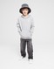 ADIDAS BLUZA Z KAPTUREM HOODIE BOY