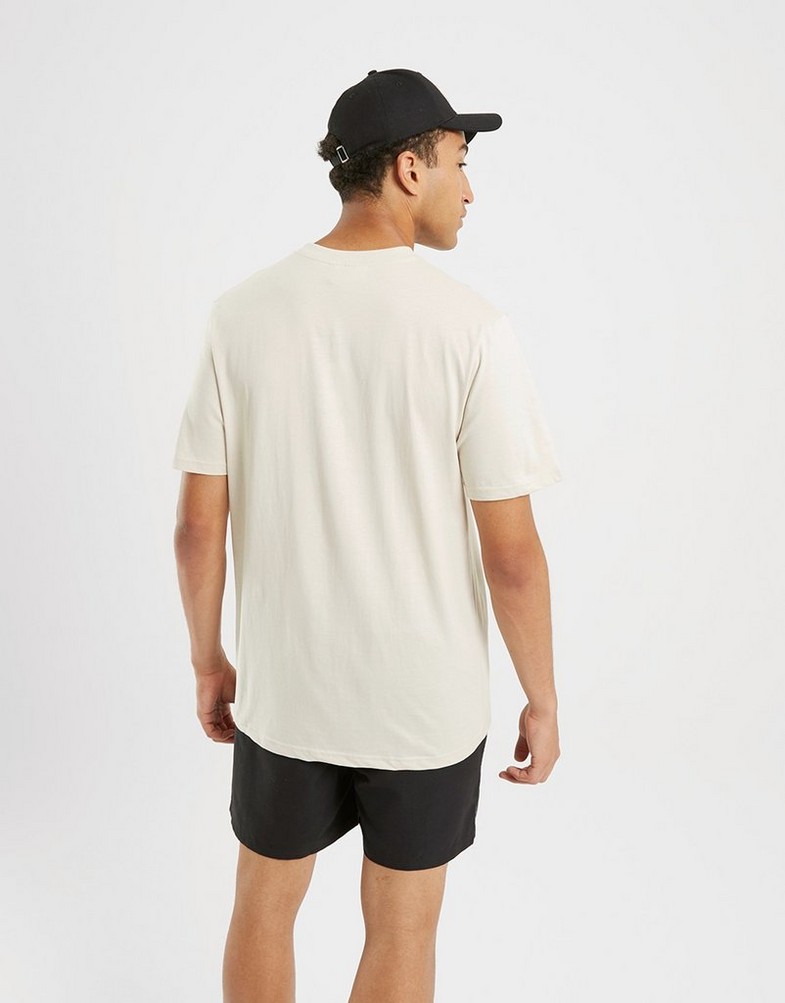 Koszulka, t-shirt męski FILA T-SHIRT HAMILTON TEE STN HAMILTONFW22JDM004ST Beżowy