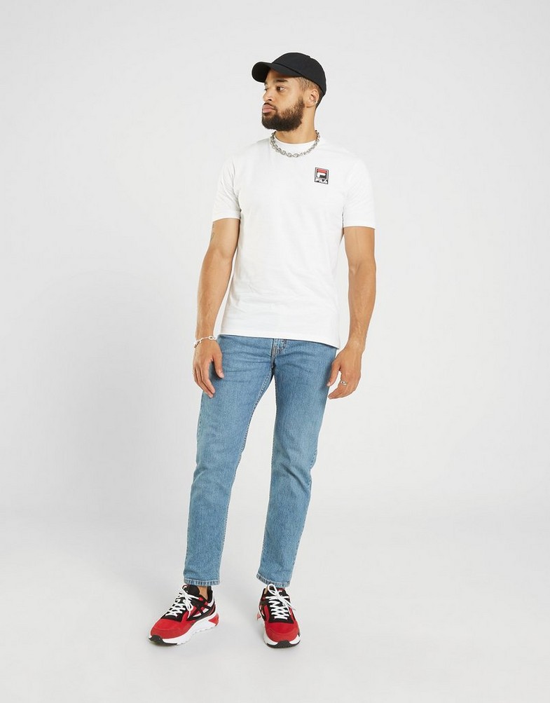 Koszulka, t-shirt męski FILA T-SHIRT HAMILTON TEE WHT HAMILTONFW22JDM004WH Biały