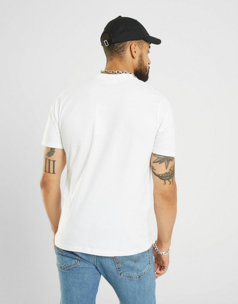 Koszulka, t-shirt męski FILA T-SHIRT HAMILTON TEE WHT HAMILTONFW22JDM004WH Biały