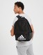 ADIDAS RUKSAK CLSC BOS BP