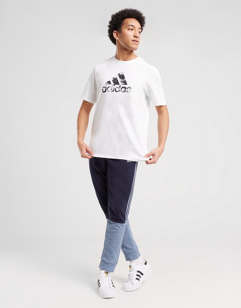 Koszulka, t-shirt męski ADIDAS T-SHIRT M AWORLD AC G T HK9194 Biały