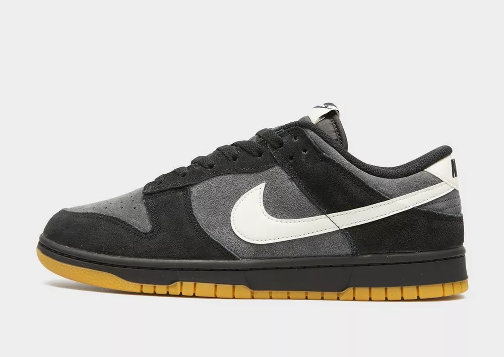NIKE DUNK LOW RETRO SE, фото 1 з 6