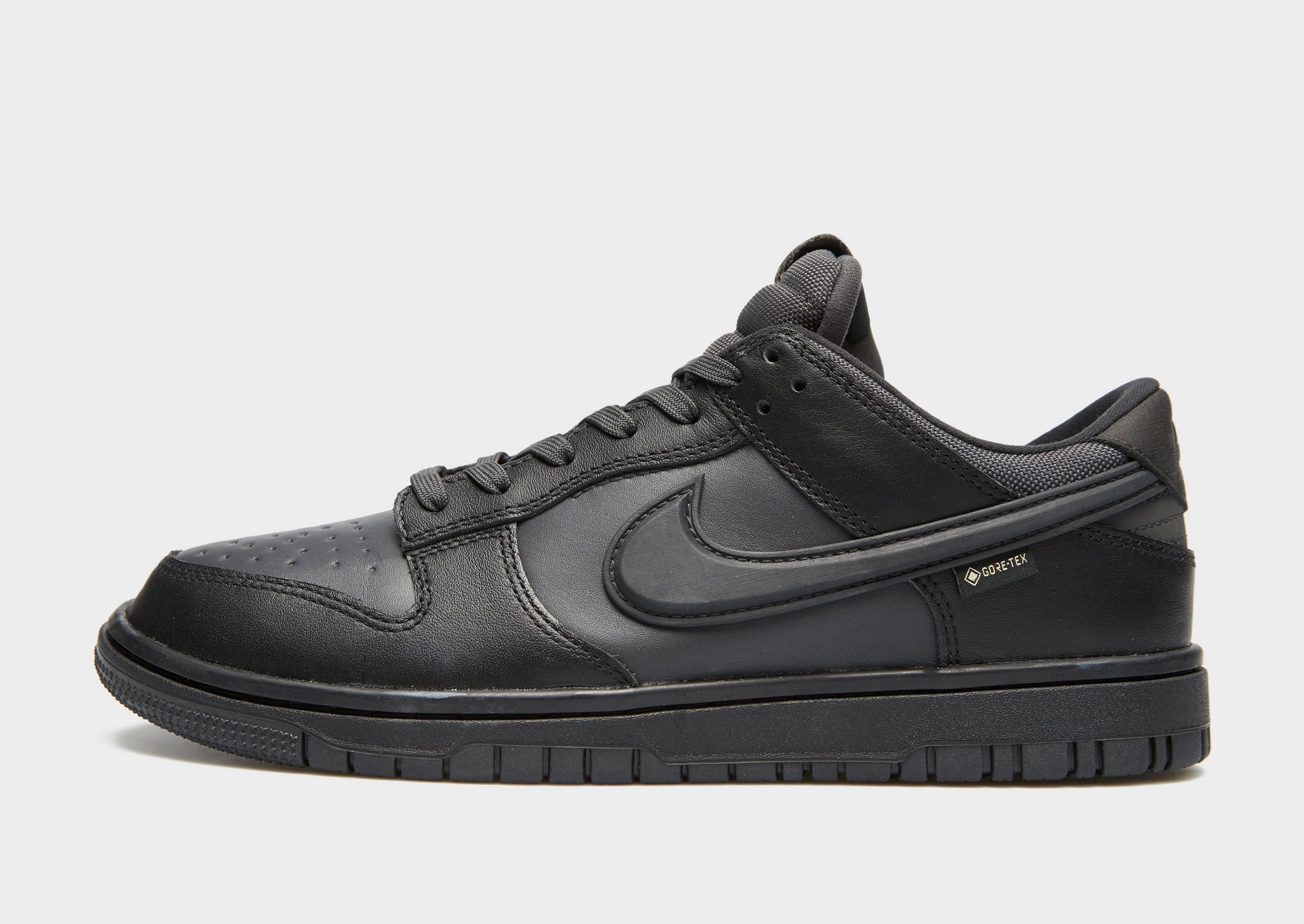 Nike Dunk Low Gtx