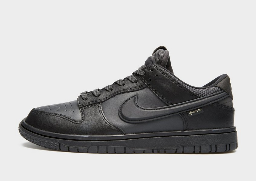 Nike Dunk Low Gtx