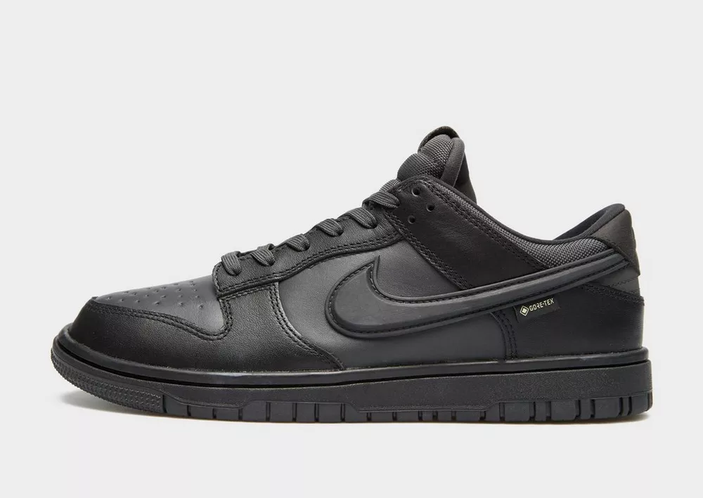 NIKE DUNK LOW GTX, фото 1 з 6