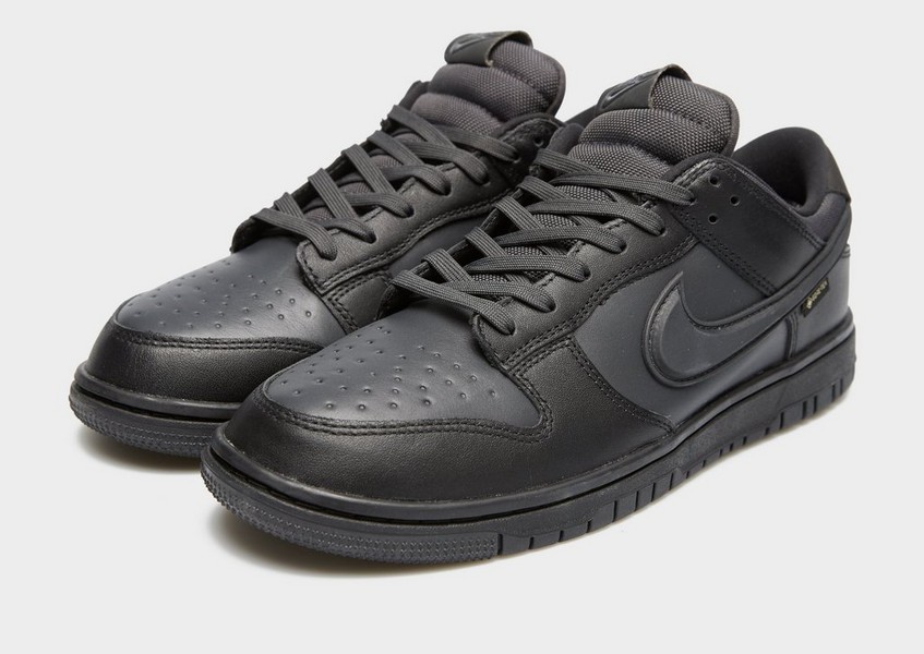Nike Dunk Low Gtx