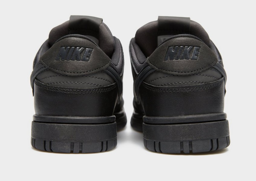 Nike Dunk Low Gtx