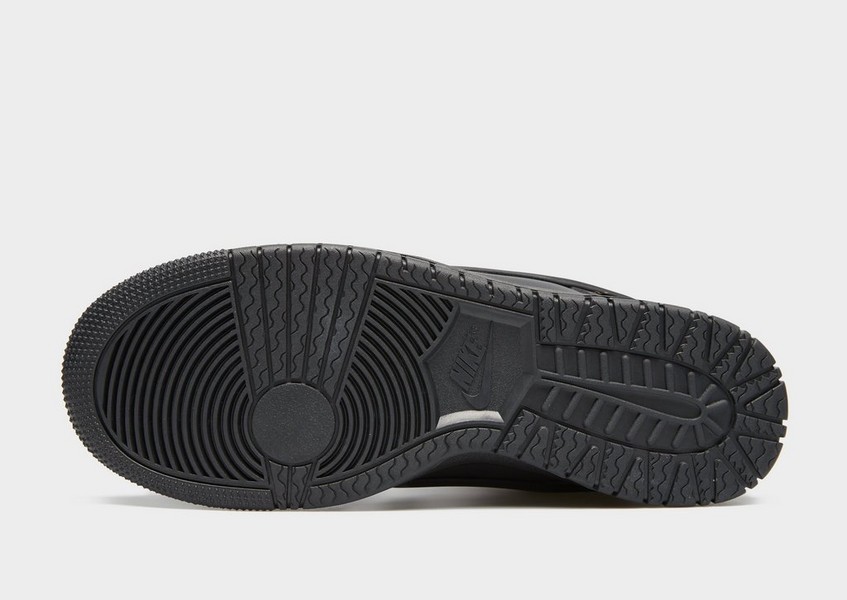 Nike Dunk Low Gtx
