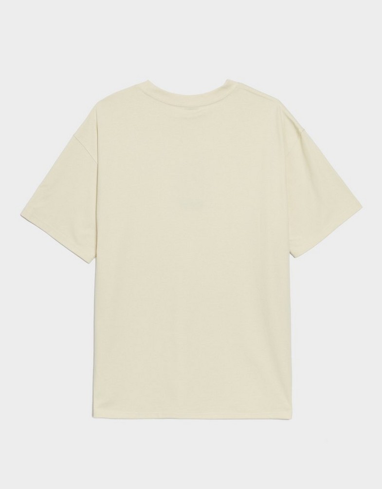 Tricou pentru bărbați NIKE TRICOU M ACG TEE ALIEN HV2168-229 Bej
