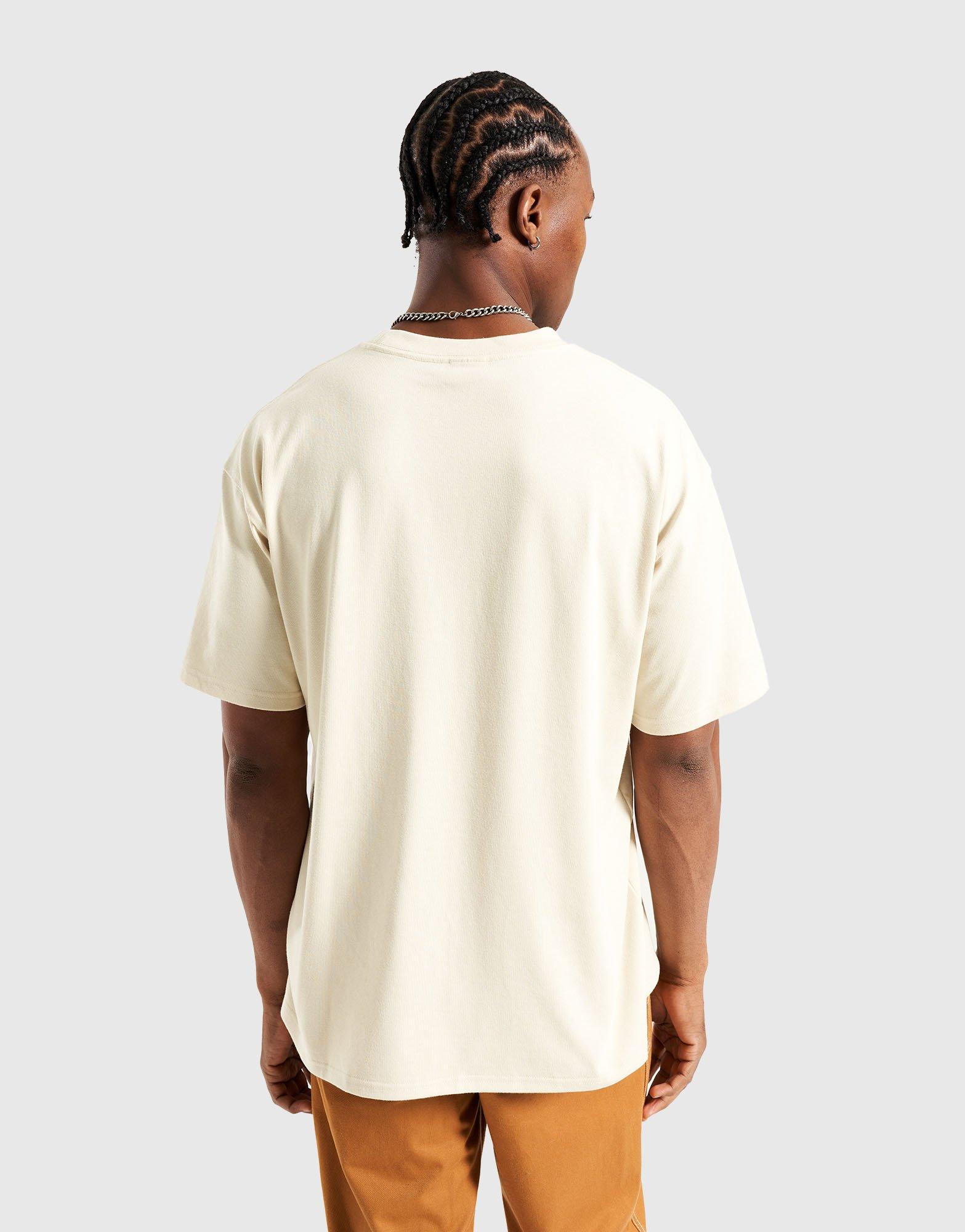 Koszulka, t-shirt męski NIKE T-SHIRT M ACG TEE ALIEN HV2168-229 Beżowy