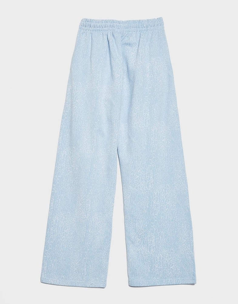 Pantaloni pentru femei HOODRICH PANTALONI  SNOW ANGEL   LOW RISE WIDE LEG JOGG HW003250028 Albastru