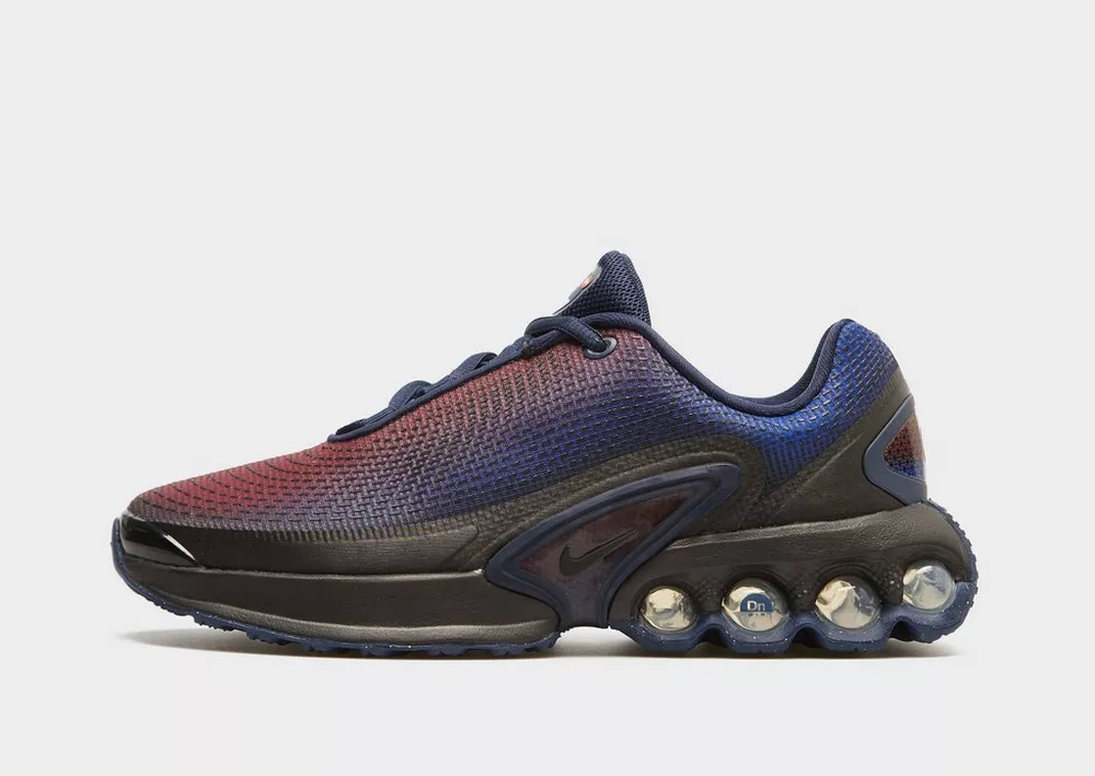 NIKE AIR MAX DN LOF (GS), фото 1 з 6