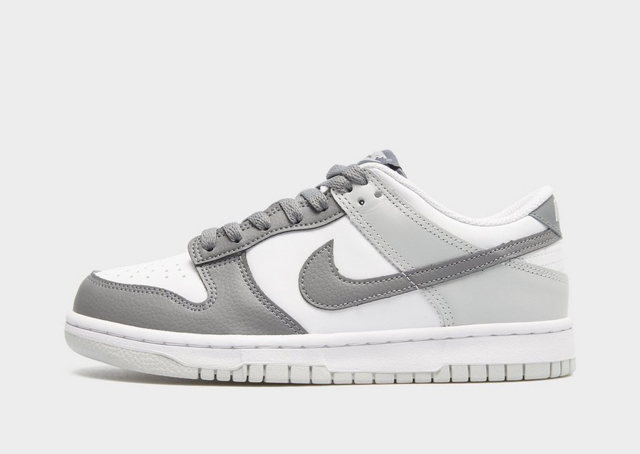 NIKE DUNK LOW RP BG Sneakers Copii Gri IQ0804-102 • JD Sports