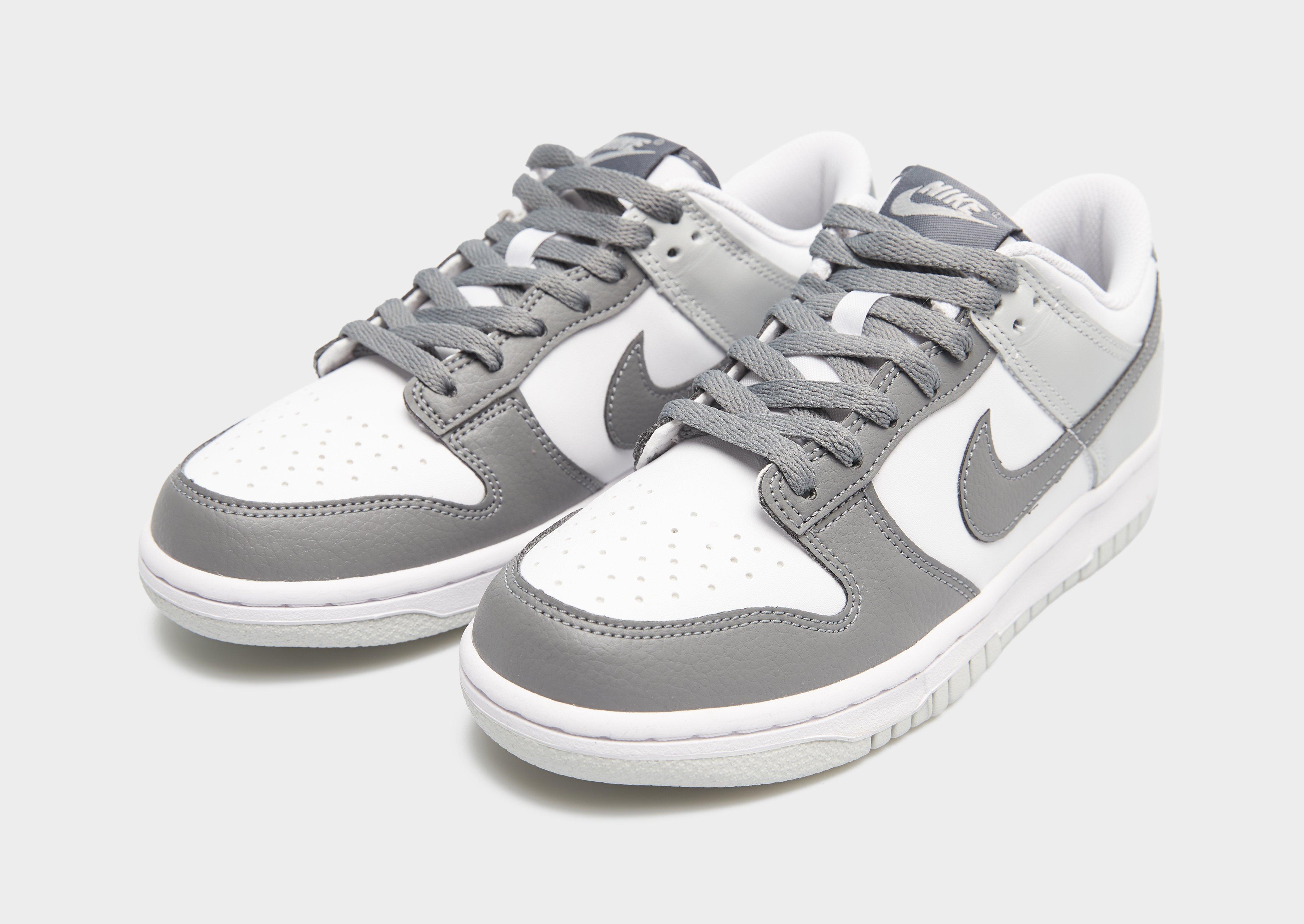 NIKE DUNK LOW RP BG Sneakers Copii Gri IQ0804-102 • JD Sports