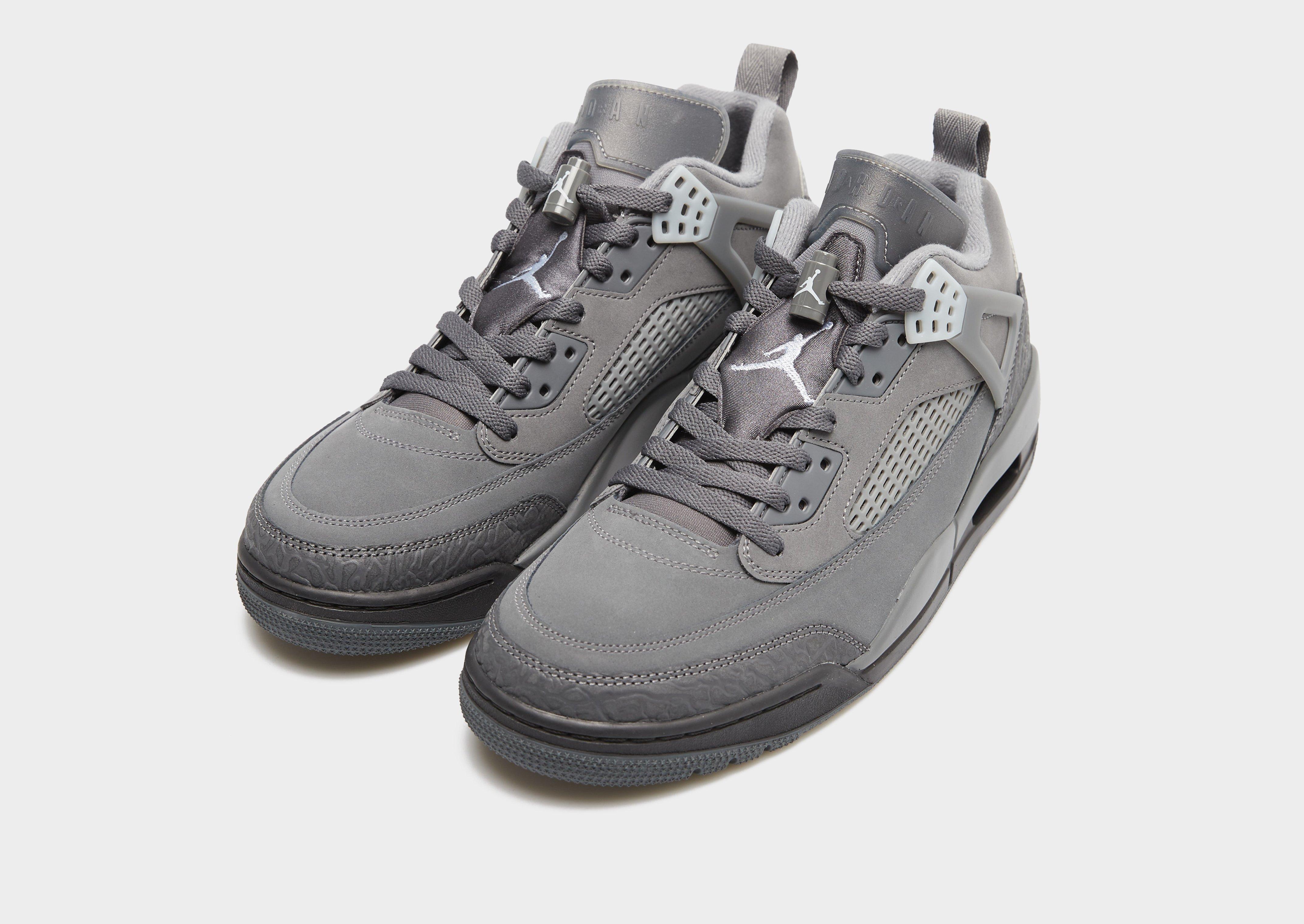 Чоловічі кросівки JORDAN SPIZIKE LOW IQ7586-021 Сірий