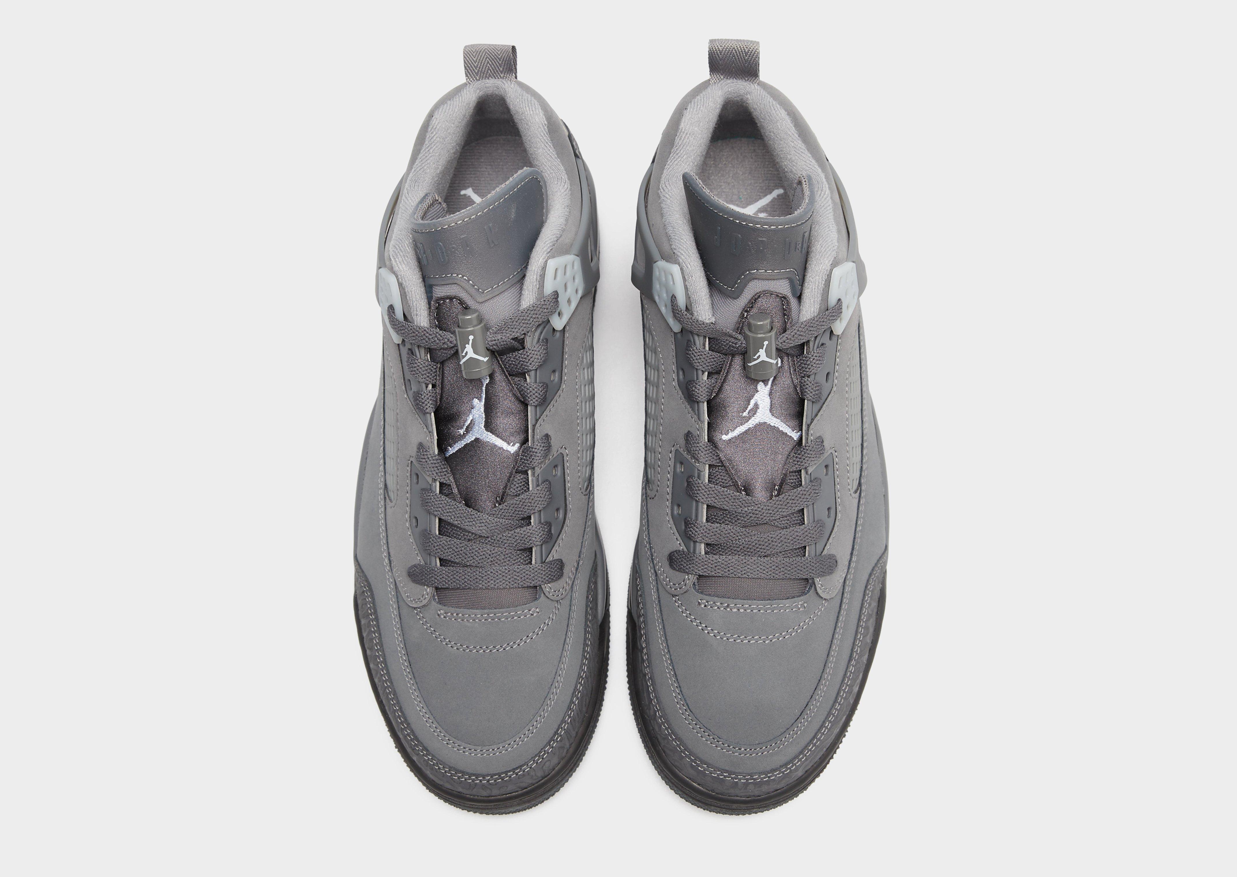 Чоловічі кросівки JORDAN SPIZIKE LOW IQ7586-021 Сірий